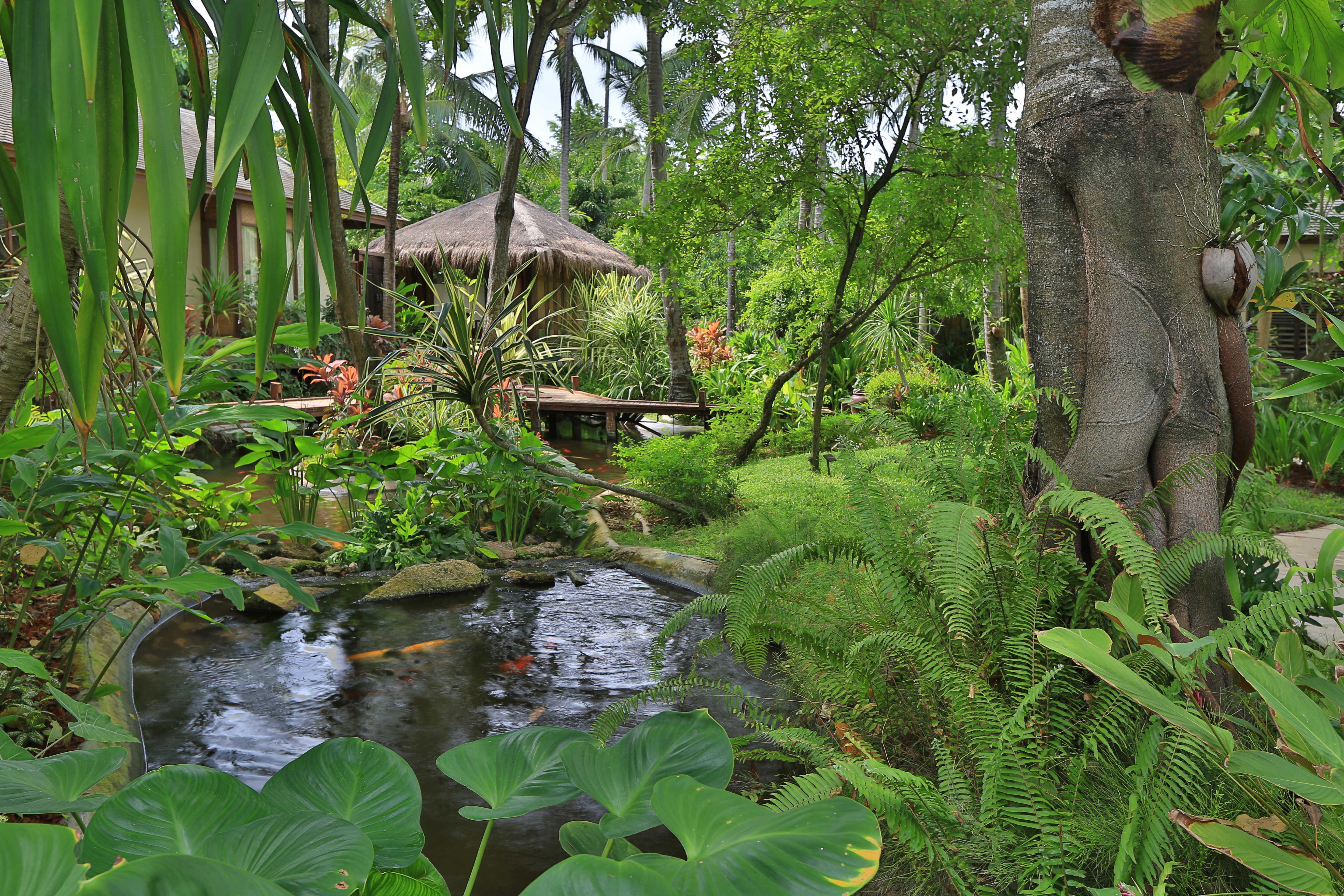 Anantara Rasananda Koh Phangan - Sha Tempat peranginan Thong Nai Pan Noi